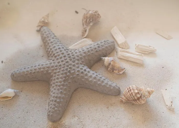 Strandfee Sommerglueck * Grömitz